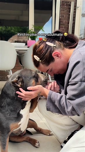 Heartfelt Tribute to a Lost Love