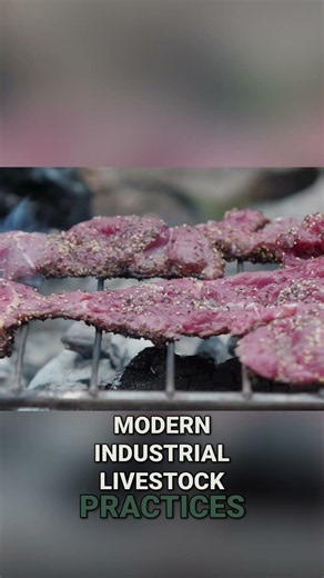 Eat Bear Meat. Just don't eat it raw