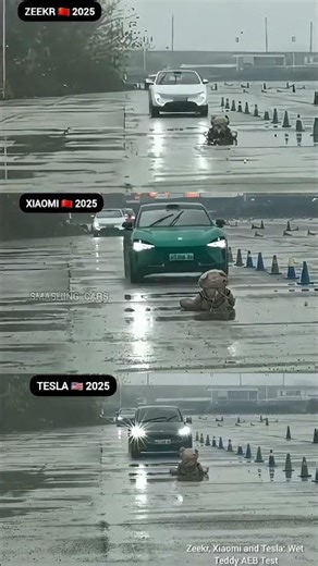 Zeekr, Xiaomi and Tesla: Wet Teddy AEB Test
