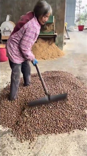 The most satisfying harvest you’ll see today
