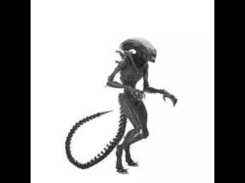 aliens fireteam elite2026 05 03 12 28 15