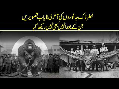 7 Extinct Animals Caught on Camera | Last Footage of Rare Animals Ever Recorded | Reality Facts