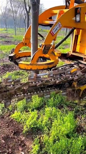 How a Gasoline Chain Tree Digger Works.