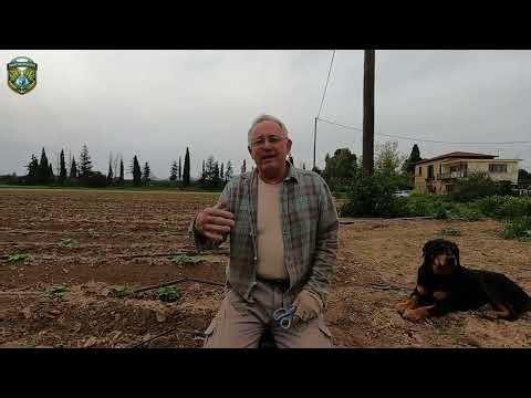 Πότισμα πατάτας στο περιβόλι του Κωνσταντή Τρίπου - Φύτρωμα και συμβουλές υγείας