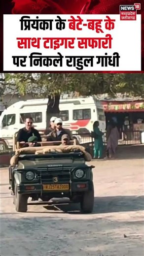 Priyanka Gandhi के बेटे Raihan Vadra -बहू Aviva Baig के साथ टाइगर सफारी पर निकले Rahul Gnadhi | N18S