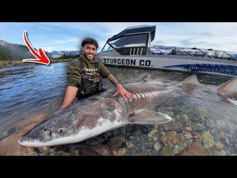 I Broke The Record... The Biggest Fish You've Ever Seen