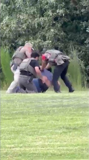 Undocumented immigrant seen in video being tackled, punched by ICE in arrest voluntarily departs US