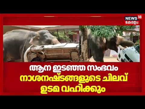 Angamaly യിൽ ആന ഇടഞ്ഞ സംഭവത്തിൽ നാശനഷ്ടങ്ങളുടെ ചിലവ് ഉടമ വഹിക്കും | Ernakulam Elephant Attack