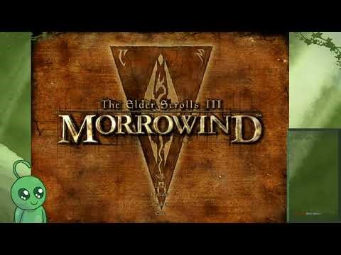 The Elder Scrolls III: Morrowind