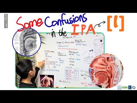 IPA Struggles: Understanding the Consonant [l]