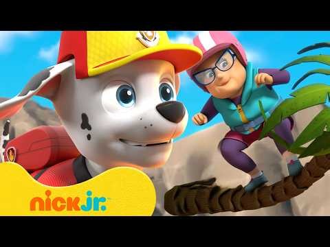 Marshall Goes Surfing with Ms. Marjorie! 🏄‍♂️ | PAW Patrol | Nick Jr.