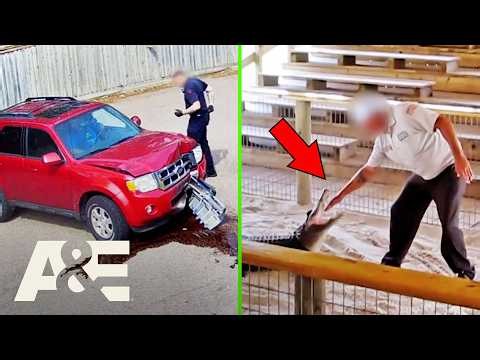 “Did That Just Happen?!” - Top 10 SHOCKING Moments (Part 2) | Customer Wars | A&E