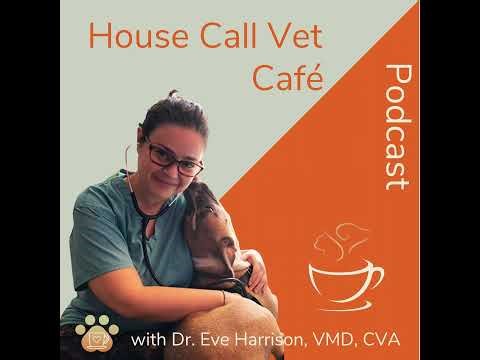Ep. 85: Pain Relief, Ketamine, & Ego: From ER to Micro Mobile Practice in Guelph; Meet Dr. Lisa Kril