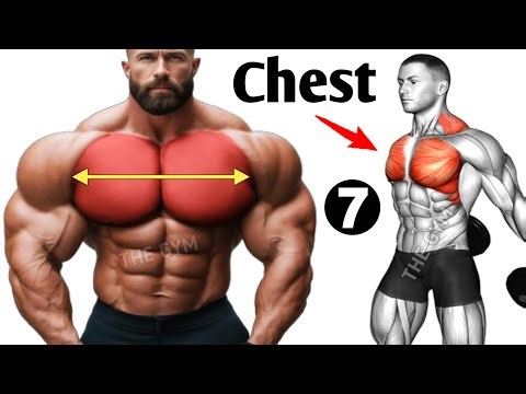 7 Best Exercises to Build a Bigger Chest Fast – Chest Workout