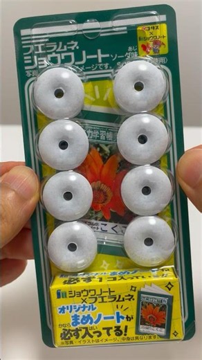 【Miniature】Fue Ramune with a perfect mini Japonica Notebook! 📓 #shorts