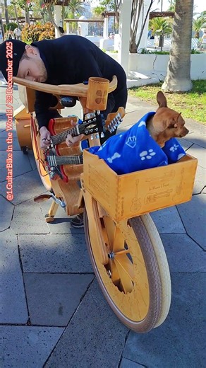 4356. Darius - Germany