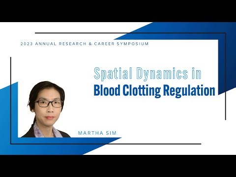 Martha Sim - 3MT Talk: Spatial Dynamics in Blood Clotting Regulation