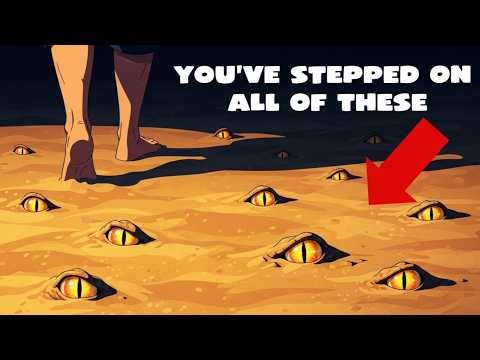Every CREATURE Hiding Under Beach Sand - 7 Min Explained