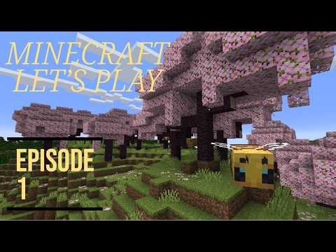 Minecraft Let's Play Ep.1 (No Commentary) Relaxing Gameplay