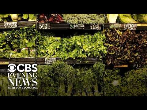 CDC looking into several items potentially linked to cyclospora parasite