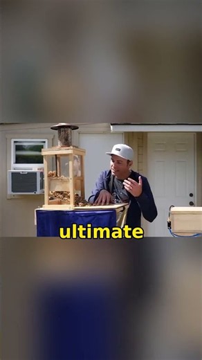 He Built a Ninja Warrior Course… For SQUIRRELS 🐿️🤯 (@Mark Rober / YT)