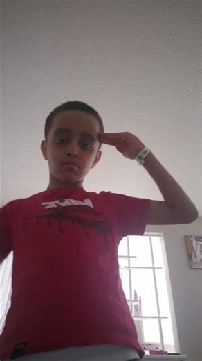 project zorgo is always watching