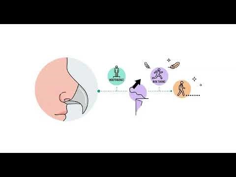 What is your Nose Shape Really Tells About You.