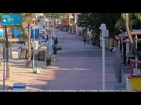 ☀️ Live Caribbean beach cams🎵 Relaxing Lounge Music 24/7