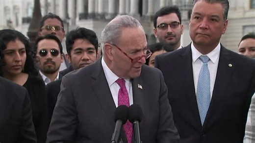 RT @AntiLeftMemes: Democrat Chuck Schumer openly DEMANDS amnesty for ALL 20 million ILLEGAL ALIENS in America so that they can vote for Dem…