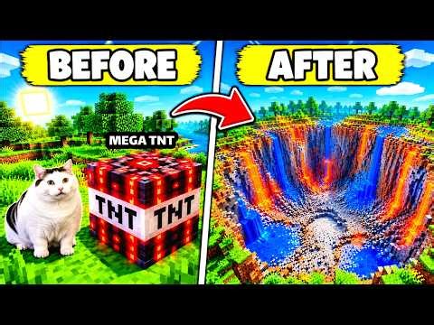 Cat Exploded Mega TNT in Minecraft