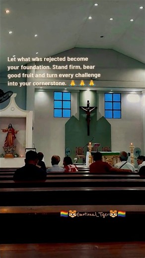 04-Oct-26 | Today's Sunday Catholic Mass Gospel - Matthew 21:33-43 🙏 #catholicmass