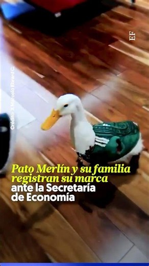 Merlín the Duck and his family register their trademark with the Ministry of Economy