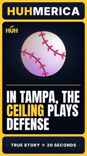 In Tampa, the Ceiling Plays Defense ⚾ #shorts #worldseries #baseball #rays