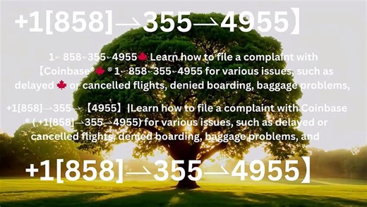 24/7『COINBASE WALLET ®』 SUPPORT© NUMBERS TOLL FREE NUMBER: Easy Step by Step Guide help desk