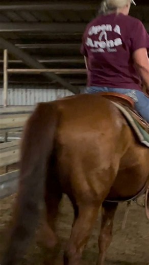 Happy Birthday Cowgirl! Go buy that new Horse. 🎂 🐎 🎂 | Buck Hawes