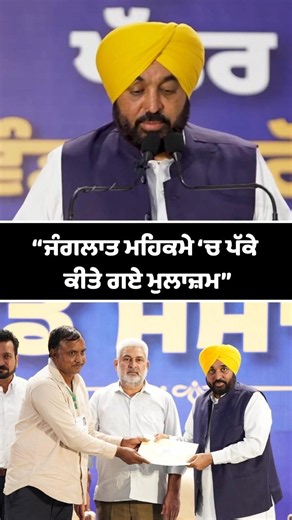ਜੰਗਲਾਤ ਮਹਿਕਮੇ 'ਚ ਪੱਕੇ ਹੋਏ ਮੁਲਾਜ਼ਮ,CM Mann ਨੇ ਵੰਡੇ Appointment Letter | Punjab Jobs | #shorts #news
