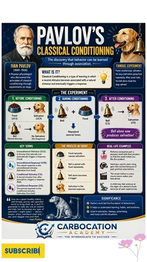 From Bell to Behavior — Pavlov’s Discovery!#Pavlov #ClassicalConditioning #KTET #CTET #Set