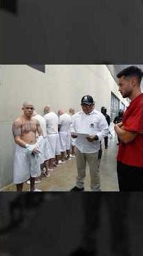 The crimes of the prisoners of the CECOT.