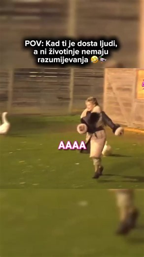 Zadruga Elita 10 uživo — Elita 10 Pink pregled i ključni pojmovi