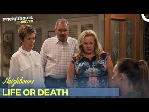 Epilepsy Meds Go Missing After a Wild Night at Flamingo Bar! | S37 E8627 | Neighbours