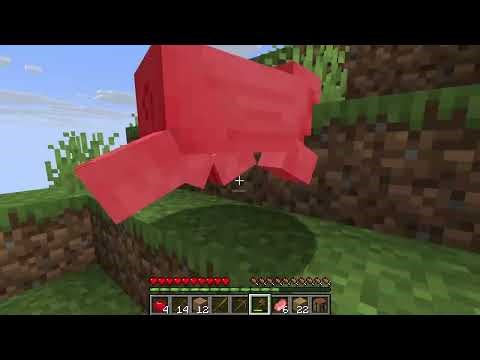 Ep. 1 - My First Minecraft Video + A special message!
