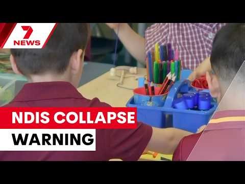 NDIS faces financial collapse warning as states negotiate | 7NEWS