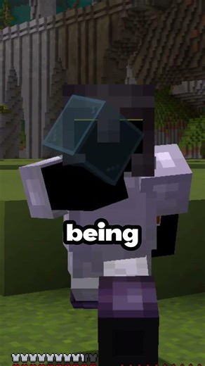 Minecraft changed VERSIONS forever.. (and why that is important)