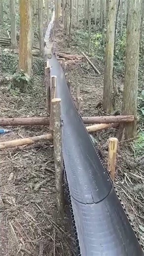 Old-School Timber Transport Method That Still Works