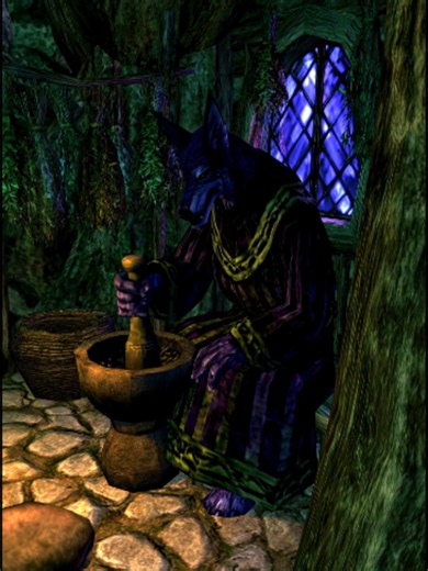 The Forgotten Realms of Eternal Mist: A Dark Fantasy World
