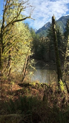 Peaceful Lake | Thin Ice | Oxbow Loop | Middle Fork Road | North Bend, WA #nature #lake #mountains