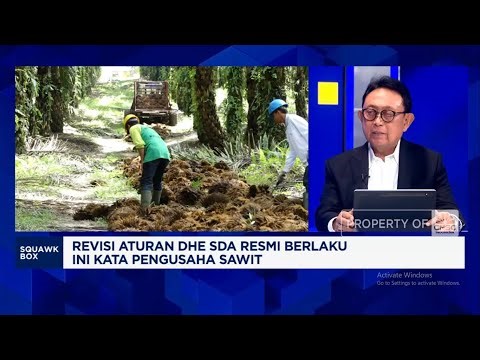 Pengusaha Sawit Ungkap Hal Yang Memberatkan Dari Revisi DHE SDA