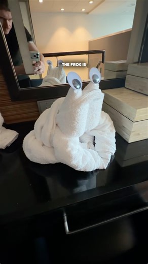 Cruise Towel Animal Challenge Part 2