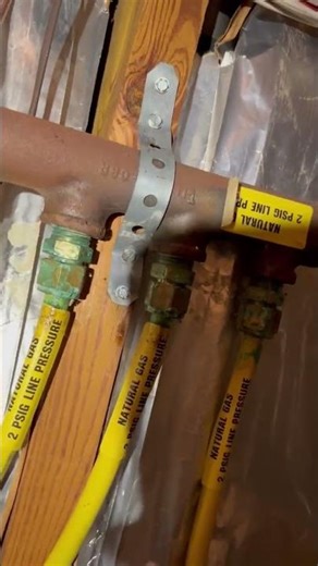 Jobs with William: Multiple Leaks Identified