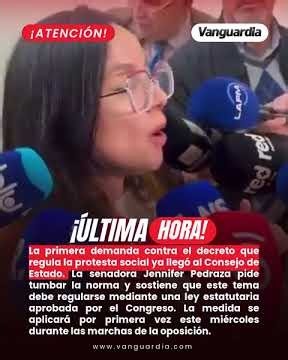 Demandan ante el Consejo de Estado el decreto que regula la protesta social en Colombia | Vanguardia